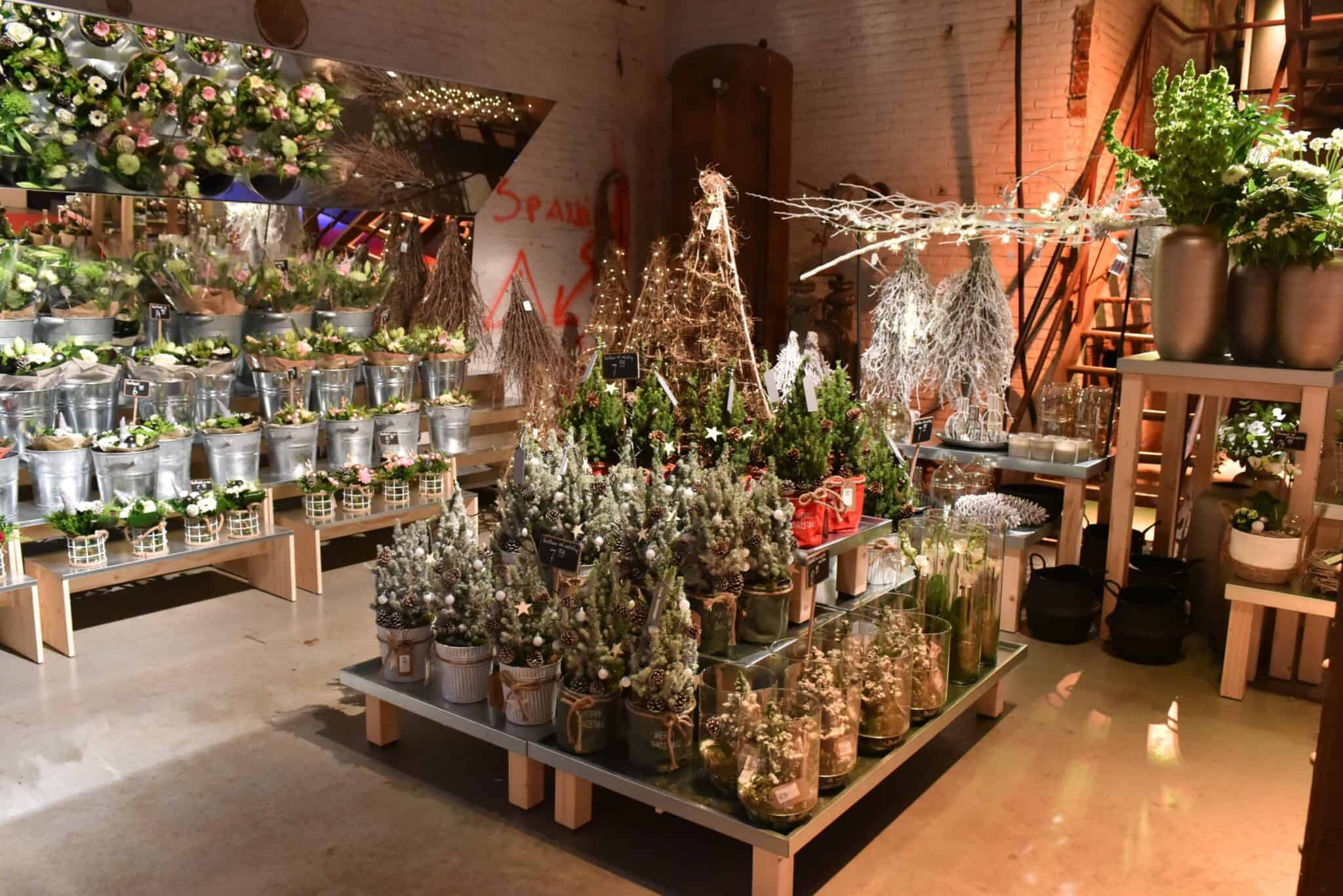 Bloemwinkel met kerstdecoraties en planten in SugarCity, Detailresult Group.