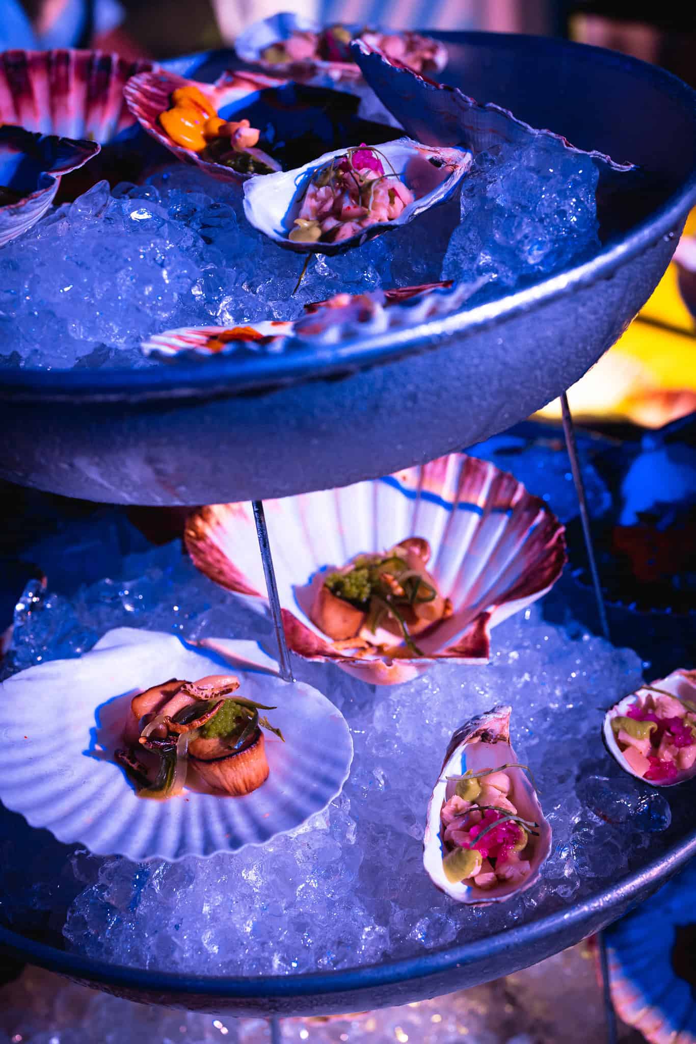 Verse zeevruchten en garnalen geserveerd in schelpen op ijs.