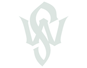 Logo blauw Play winner stays